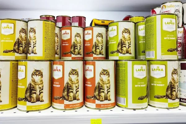 Doğan PetShop 2-Şirinyalı - Resim 19