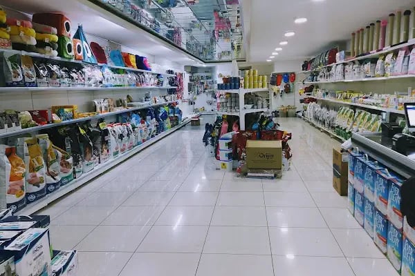 Doğan PetShop 2-Şirinyalı - Resim 5