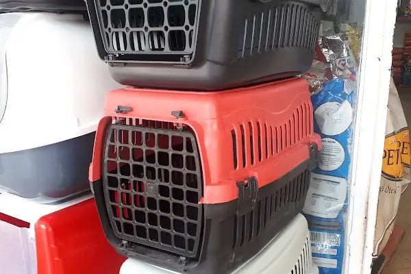 Doğan PetShop 2-Şirinyalı - Resim 10