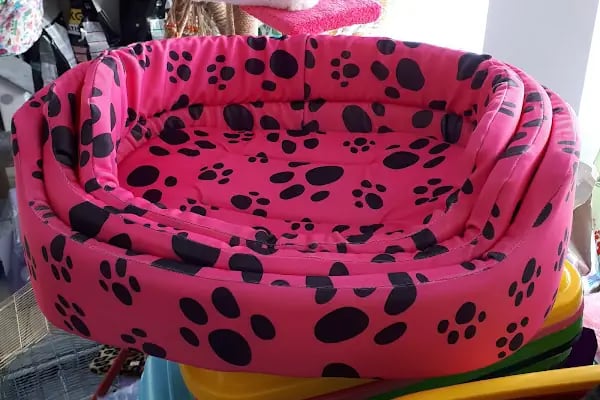 Doğan PetShop 2-Şirinyalı - Resim 4