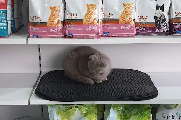 Etlik Veteriner Kliniği - Resim 16