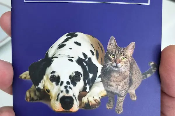 Etlik Veteriner Kliniği - Resim 11