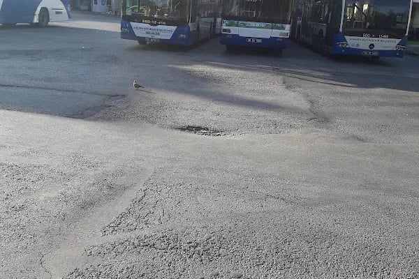 Keçiören Belediyesi Aktepe Otobüs Durağı Hr. Nkt. Şf. - Resim 2