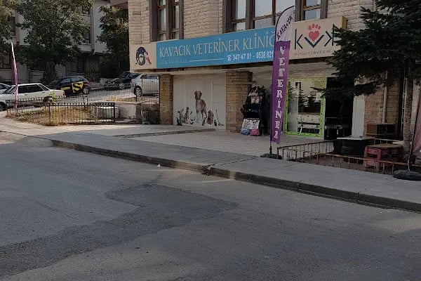 KAVACIK VETERİNER KLİNİĞİ - Resim 15