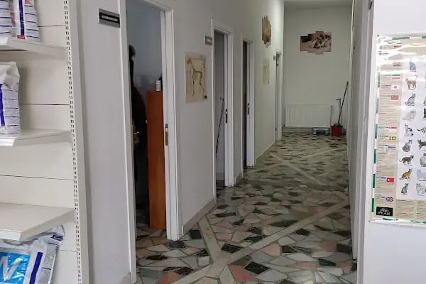 KAVACIK VETERİNER KLİNİĞİ - Resim 16