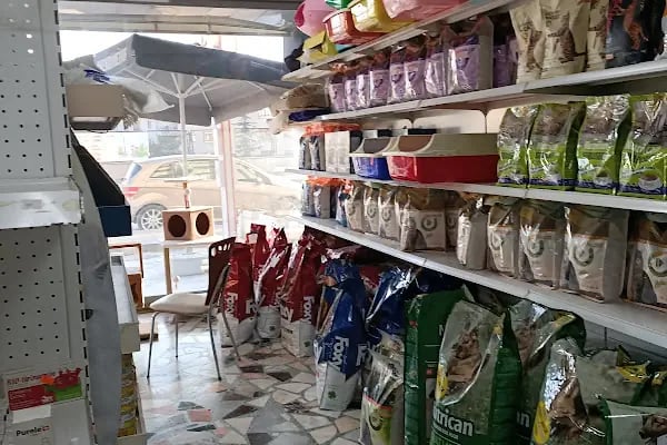 KAVACIK VETERİNER KLİNİĞİ - Resim 12