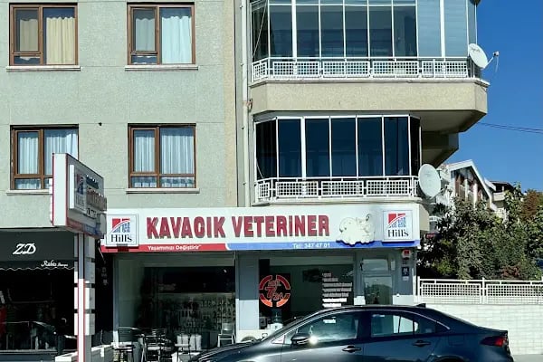 KAVACIK VETERİNER KLİNİĞİ - Resim 6
