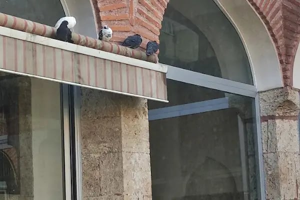 Bursa Yazma ve Eski Basma Eserler Kütüphanesi - Resim 10