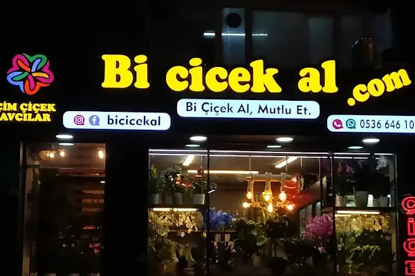 Çim çiçek Bicicekal - Resim 2