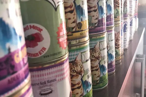 BOSS PETSHOP PET MARKET - Resim 5
