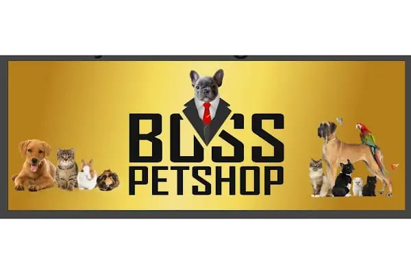 BOSS PETSHOP PET MARKET - Resim 3