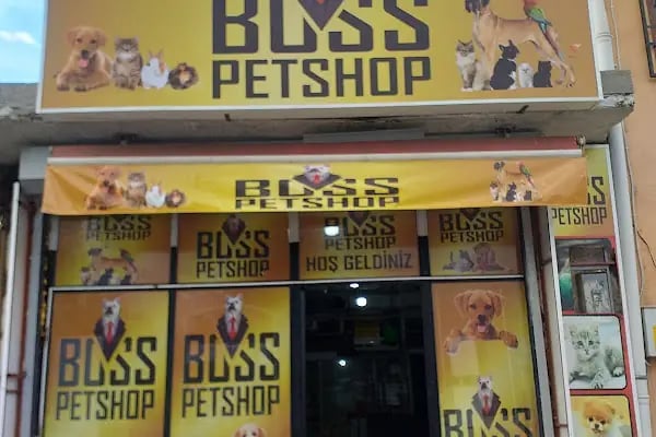 BOSS PETSHOP PET MARKET - Resim 1