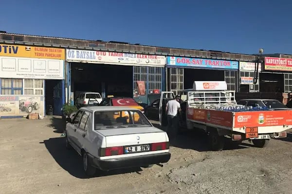 Öz Baysal Oto Elektrik Ve Tamir Ve Boya Servisi - Resim 2