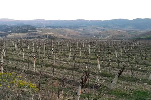 Alaşehir Otogarı - Resim 15
