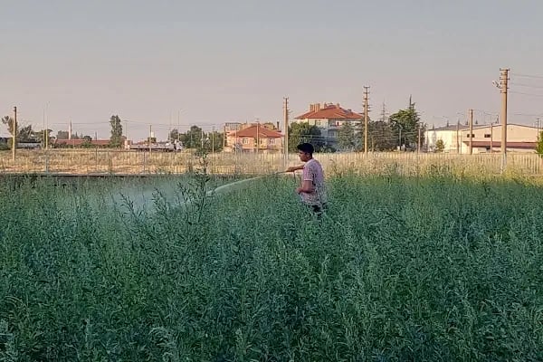 Urfa Sofrası Akşehir - Resim 18