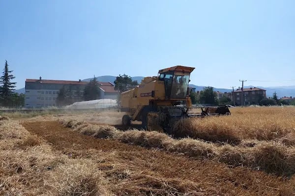 Urfa Sofrası Akşehir - Resim 12