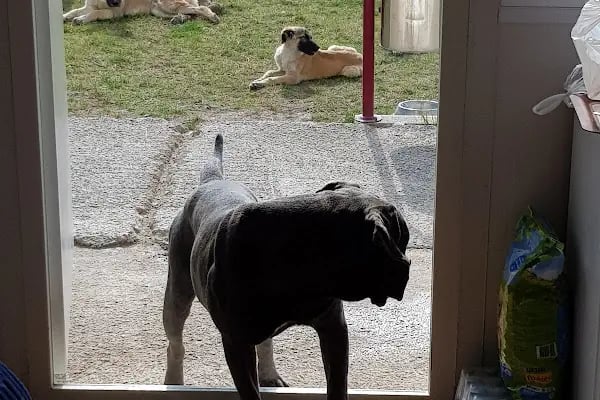 Bozankaya Elektrikli Ticari Araçlar ve Raylı Sistemler Üretim Merkezi - Resim 14