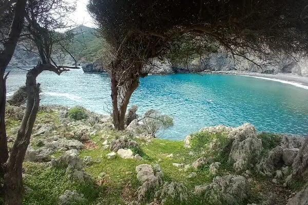Aşı koyu - Resim 4