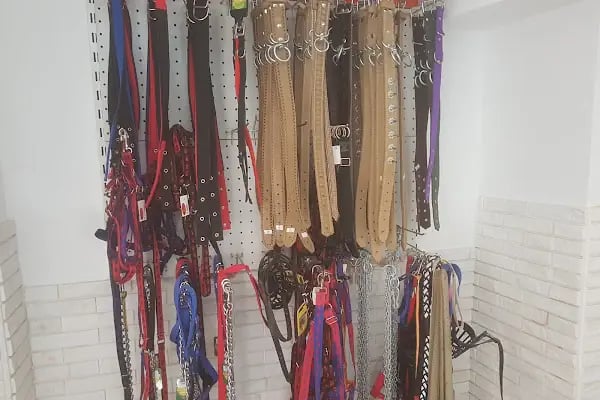 Gönül Veteriner Kliniği - Resim 5