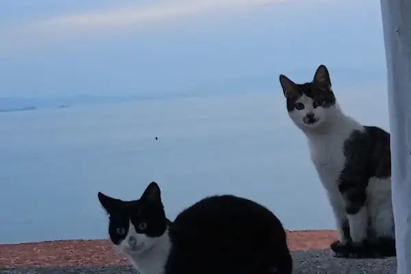 Çandarlı halk plajı - Resim 14