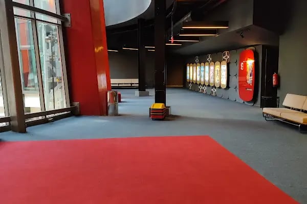 World Cinezone Gordion - Resim 14