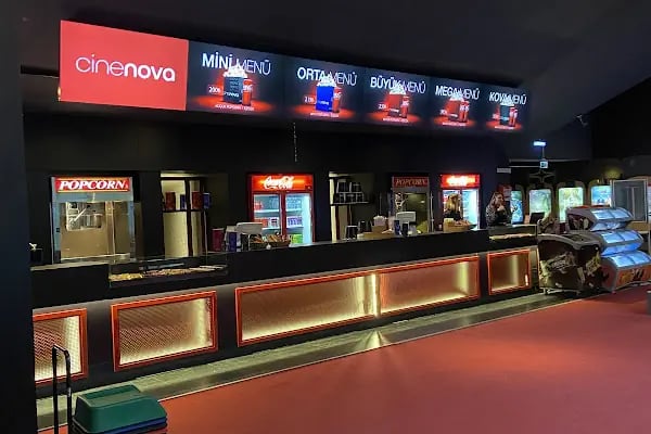 World Cinezone Gordion - Resim 11