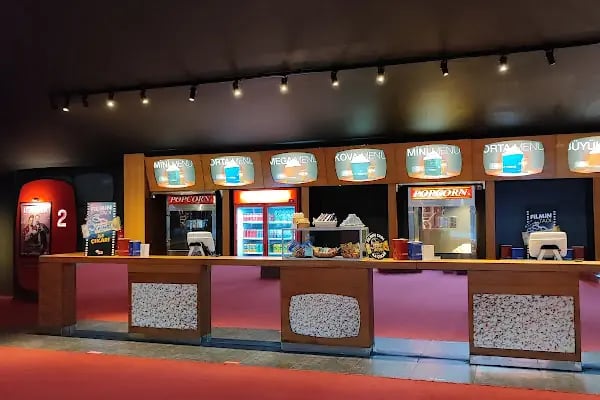 World Cinezone Gordion - Resim 9