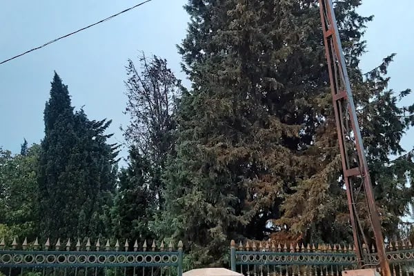 Edirnekapı Tramvay - Resim 6