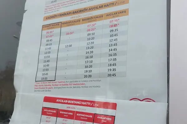 Avcılar - Resim 5