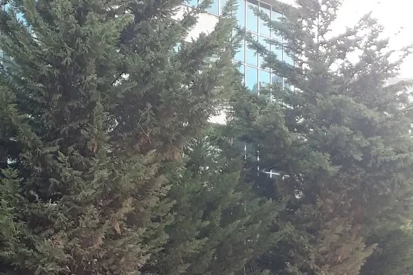 Yaşar Holding Ankara Temsilciliği - Resim 12