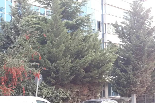 Yaşar Holding Ankara Temsilciliği - Resim 20