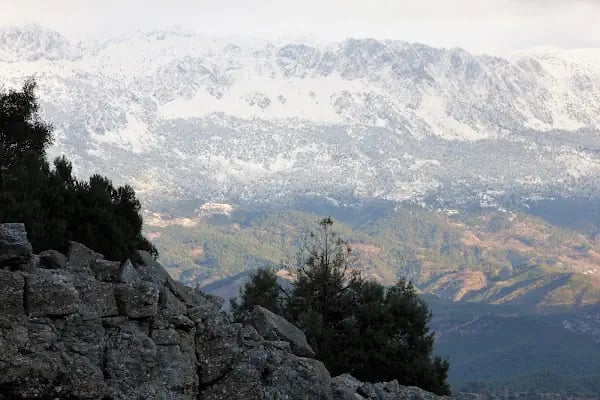 Tazı Kanyonu Kamp Alanı - Resim 8