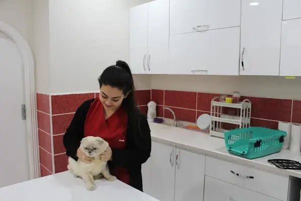 Zafervet Veteriner Kliniği - Resim 18