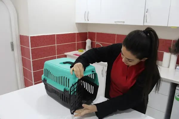 Zafervet Veteriner Kliniği - Resim 4