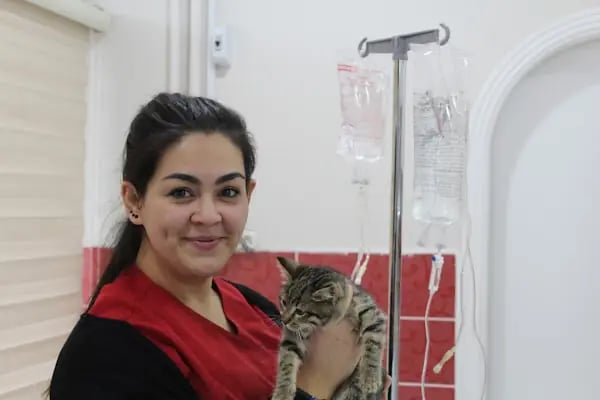 Zafervet Veteriner Kliniği - Resim 8