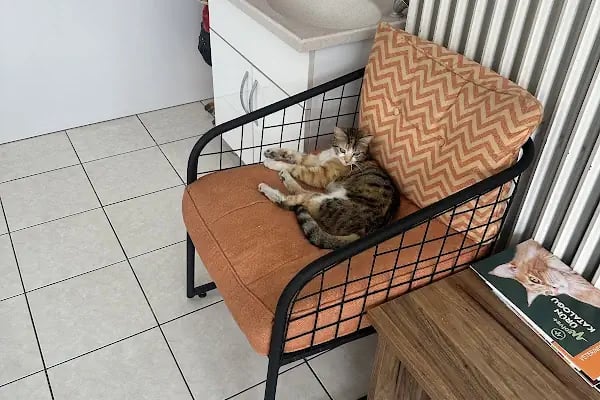 Zafervet Veteriner Kliniği - Resim 9