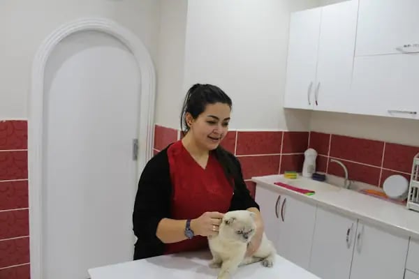 Zafervet Veteriner Kliniği - Resim 2