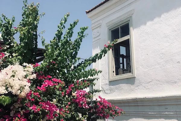 Bodrum Mimarlık Kitaplığı - Resim 3