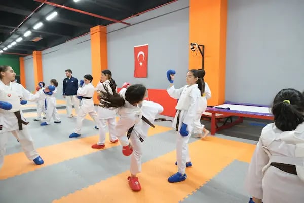 Alfa 2023 Spor Kulübü Gimsa Park Avm Eryaman - Resim 14