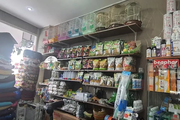Pet Alfa Pet Shop - Resim 20