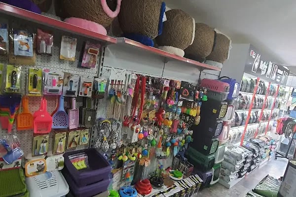 Pet Alfa Pet Shop - Resim 11