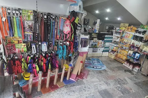 Pet Alfa Pet Shop - Resim 17