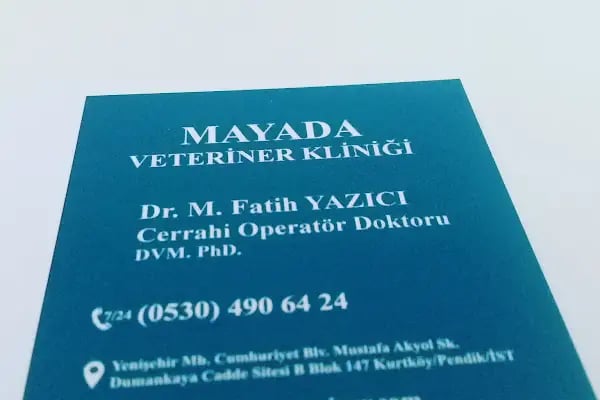 Mayada Veteriner Kliniği - Resim 7