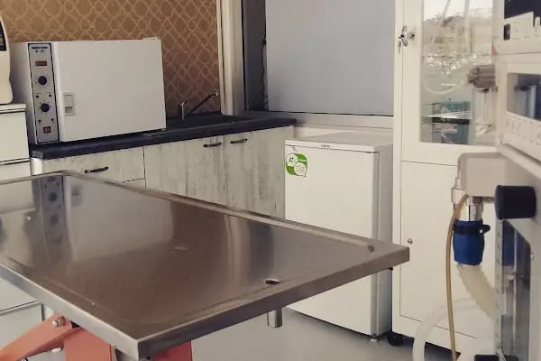 Mayada Veteriner Kliniği - Resim 8