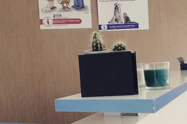 Mayada Veteriner Kliniği - Resim 5
