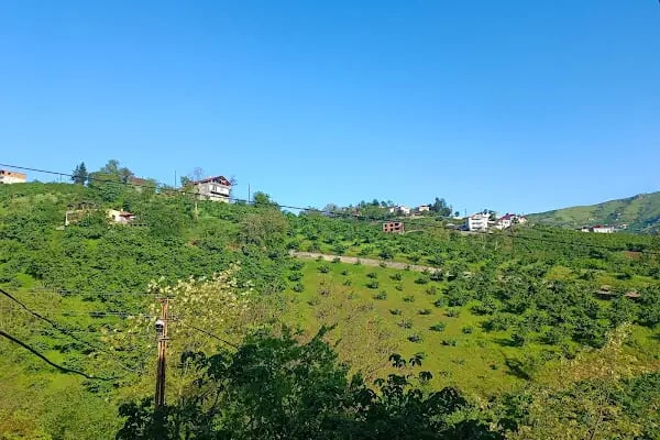 Trabzon - Resim 16