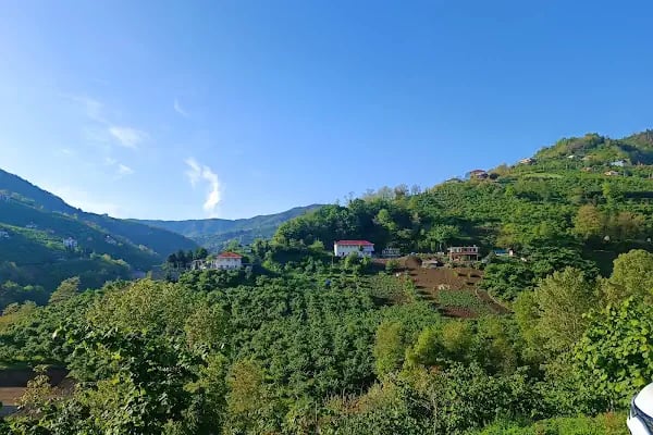 Trabzon - Resim 8