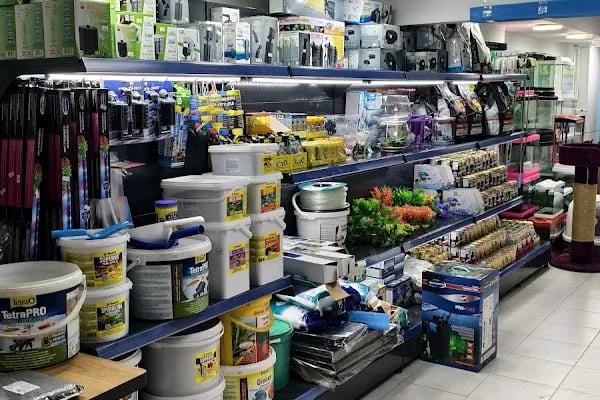 Blue Fish Petshop - Resim 15
