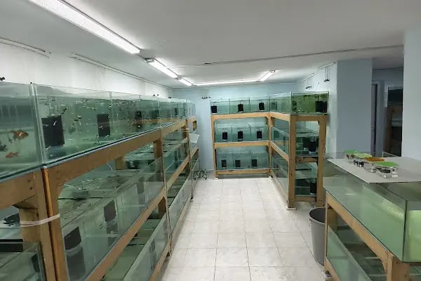 Blue Fish Petshop - Resim 3