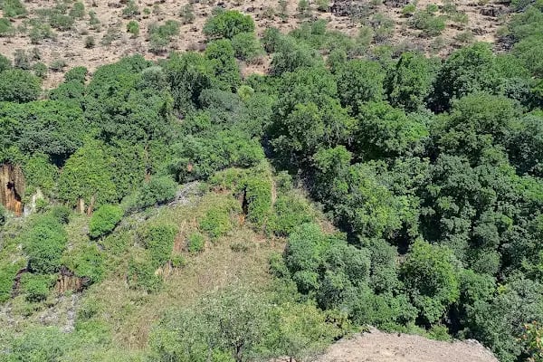 Şeyhandede Şelalesi / Waterfall - Resim 8